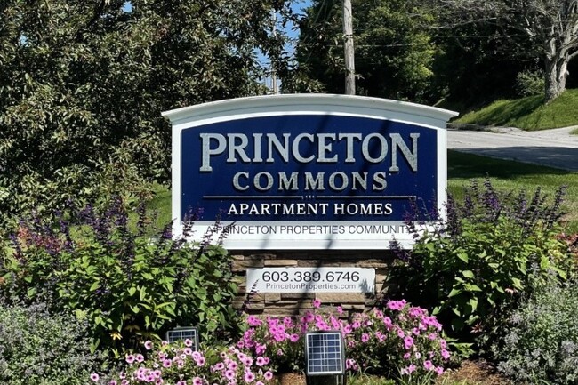 Princeton Commons - Princeton Commons Apartments