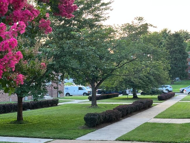 Photo - Belvedere Apartments