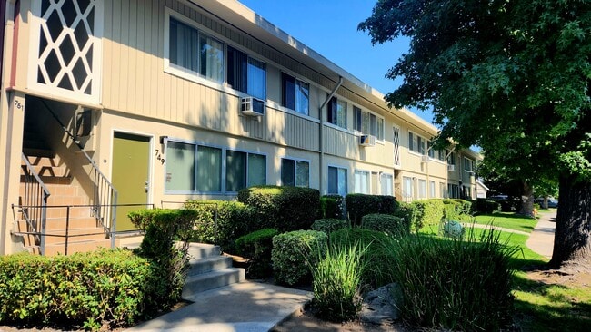 Palms Apartments