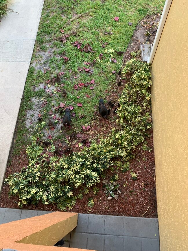 Building Photo - 1108 Coral Club Dr Unit 1108