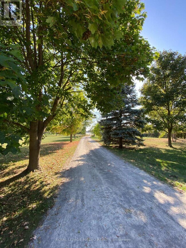 Photo - 805 Ridge Rd