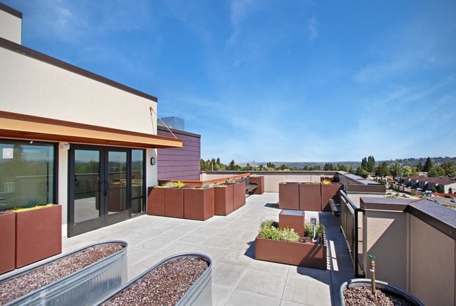 Tukwila Village Senior Housing Apartments: Roof Top Garden and Dog care