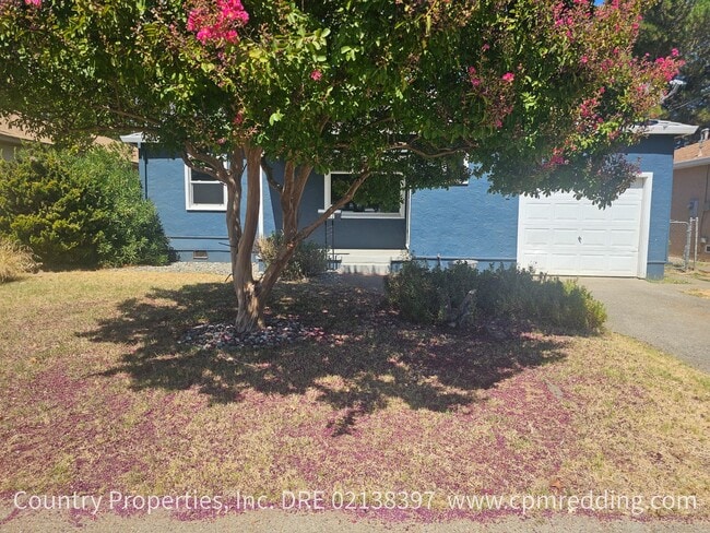 Photo - 762 South St