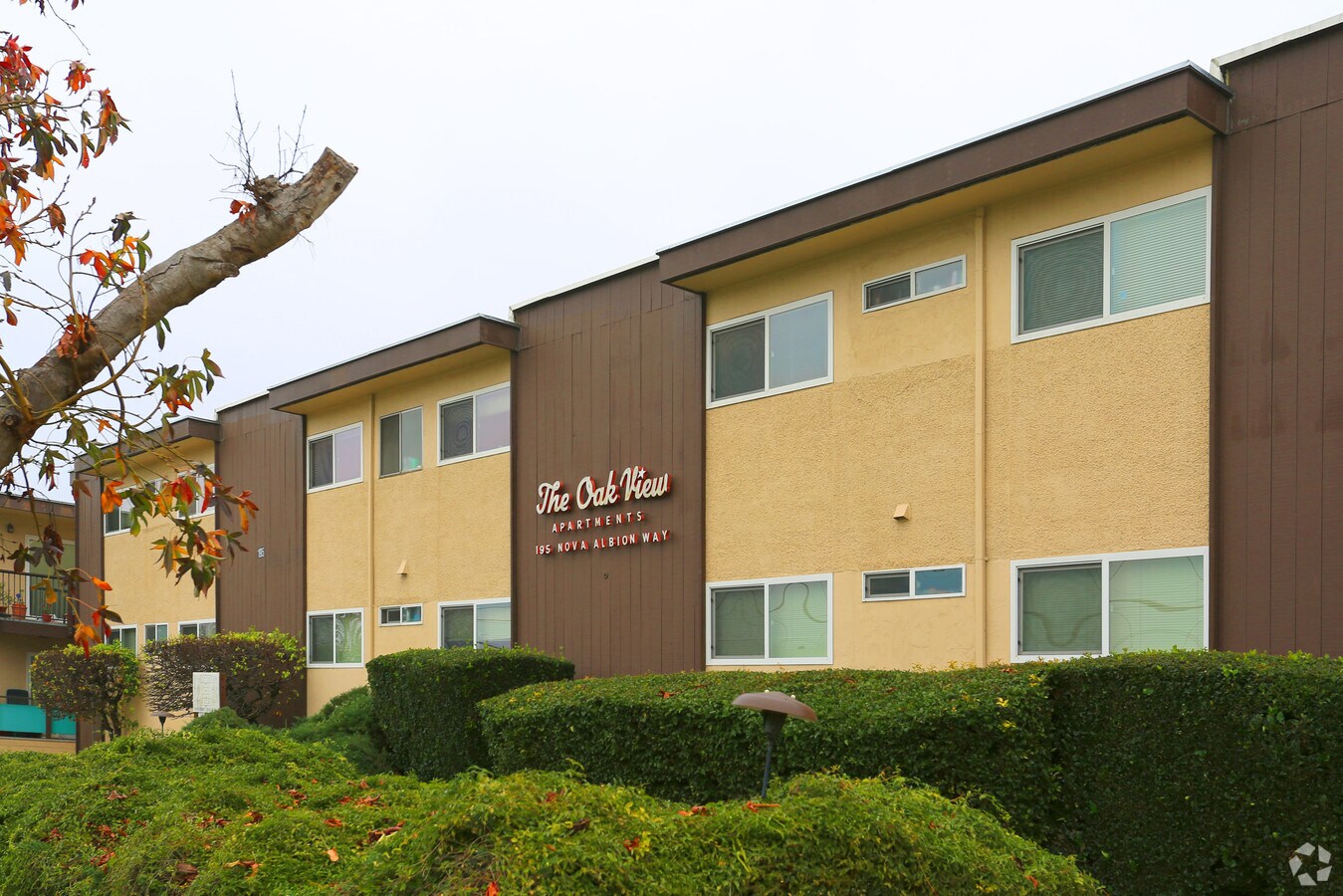 Photo - The Oak View Apartments