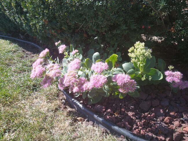 Photo - ALL UTILITIES ARE INCLUDED