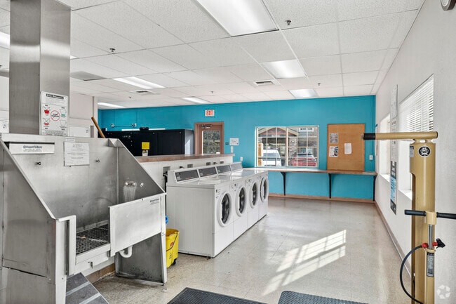 Pet Washing Station