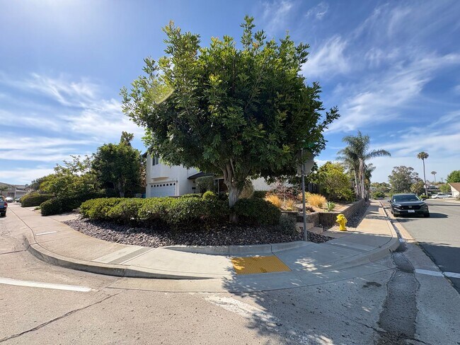 Photo - Excellent University City Corner Lot location 4bed 3bath with private-fenced rear yard and 2 car ...