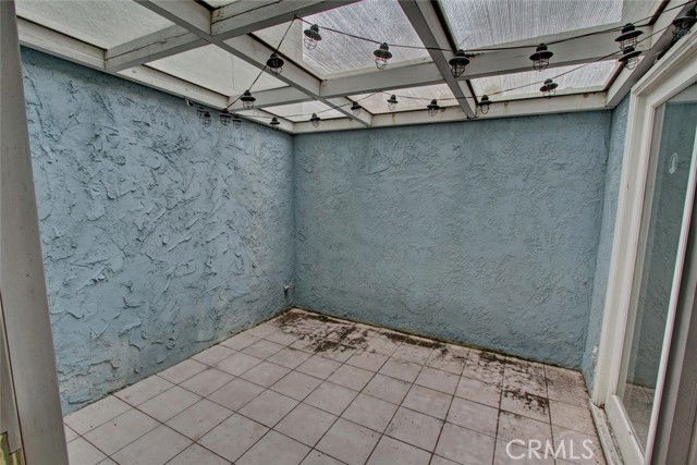 Photo - 8 Sparrowhawk