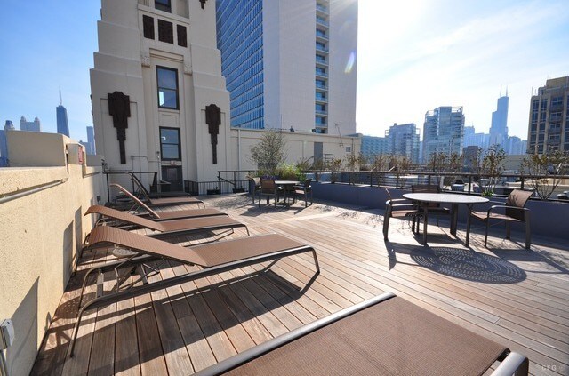 Rooftop Deck - 758 N Larrabee St Unit 816