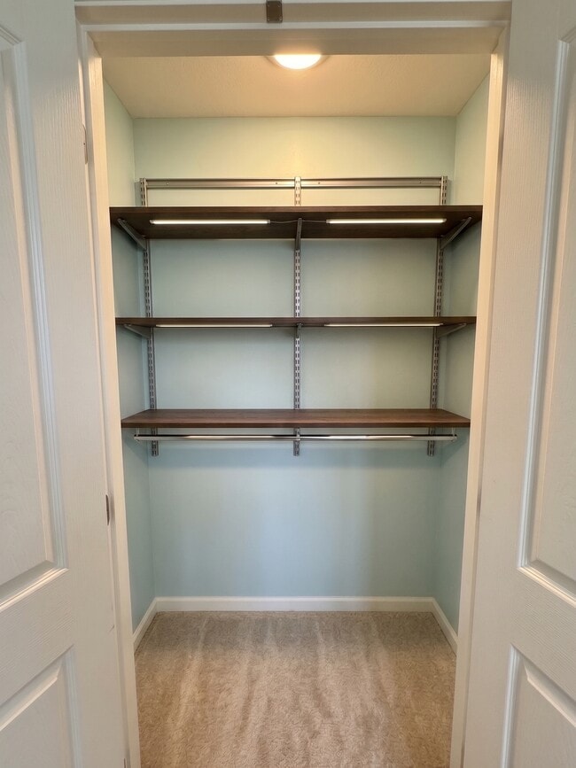 Walking Closet