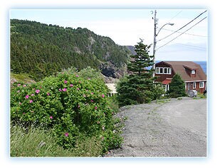 Photo - 15 Hickeys Ln