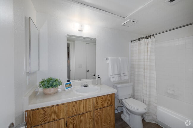 1BR, 1BA - 500SF - Bathroom