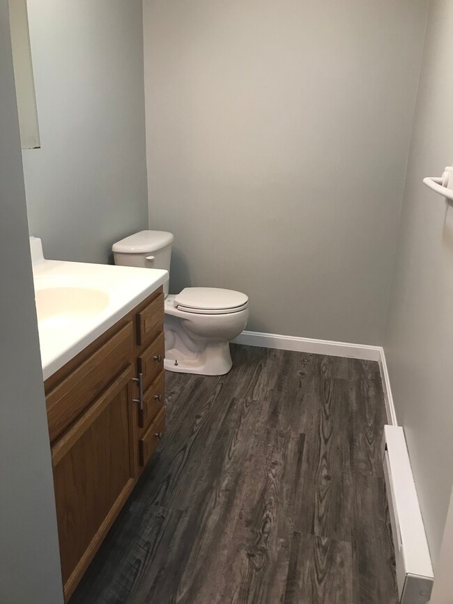 Downstairs half bath - 252 Union St