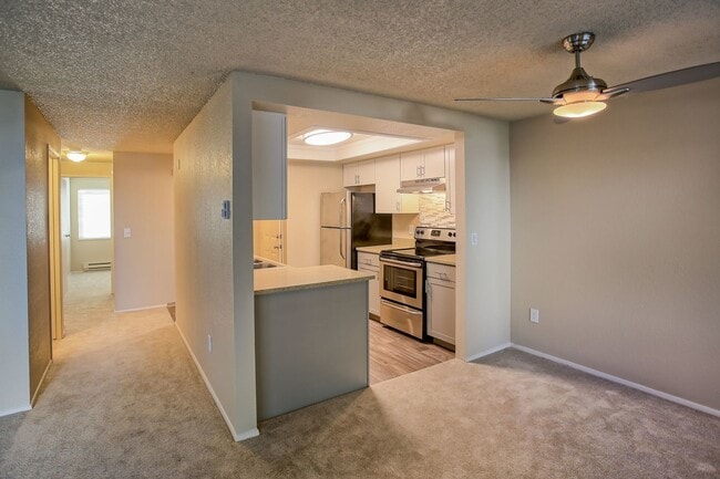 Living Area and Kitchen