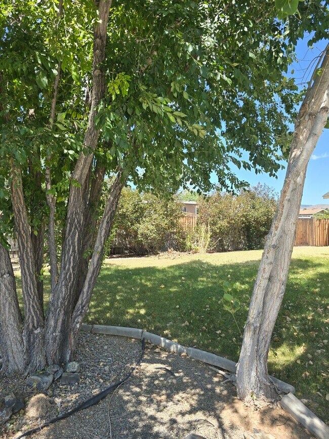 Photo - Beautiful 3 Bedroom Home in Carson City