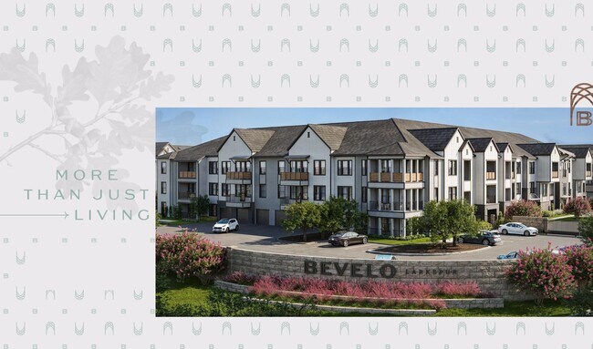 Bevelo Larkspur