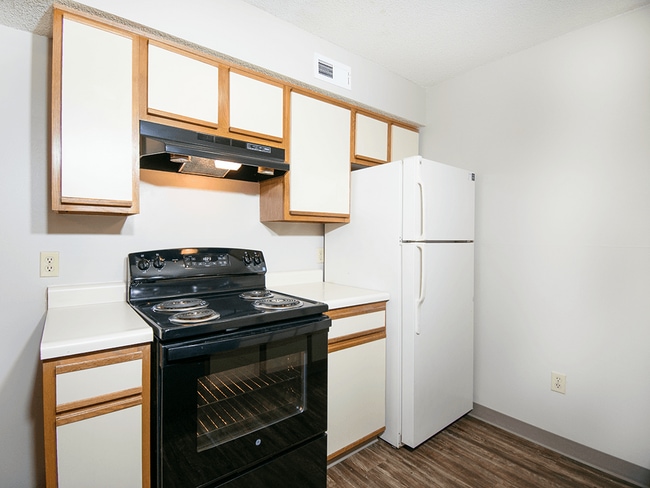 Electric Range and Oven