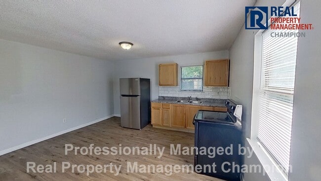 Photo - Recently Renovated 3 BD/1 BA Home Next to Castle Street Art District