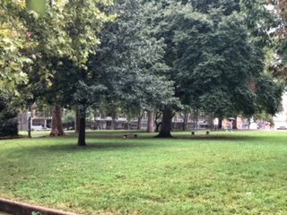 Photo - 2217 Reed St Unit B