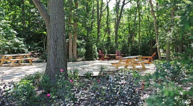 Picnic Area