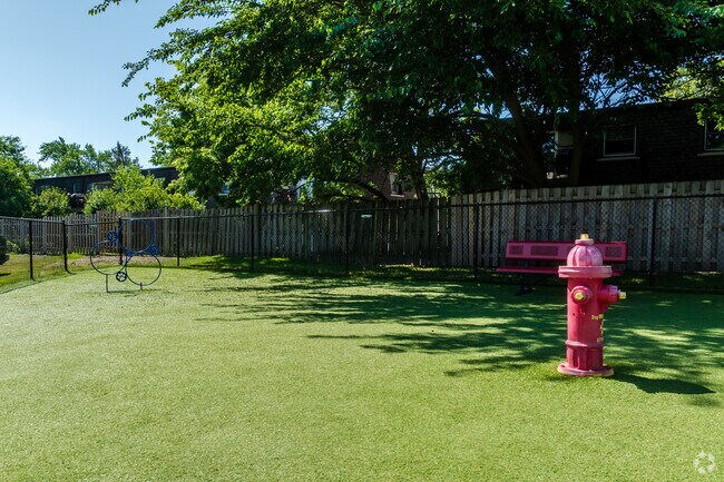 Dog Park