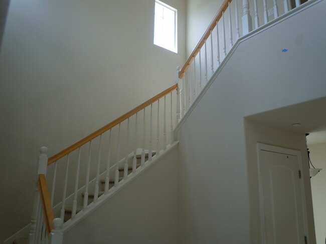 537 W Esplanade Dr