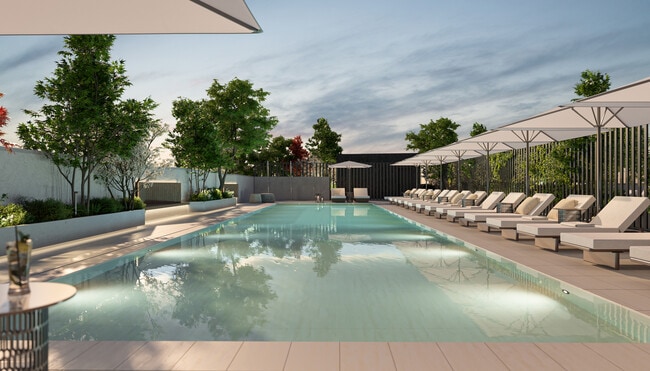 Rooftop Pool