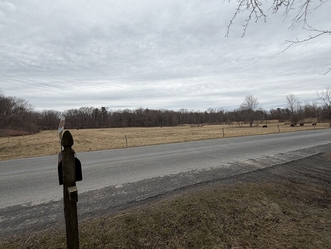 Photo - 100 Summerset Rd