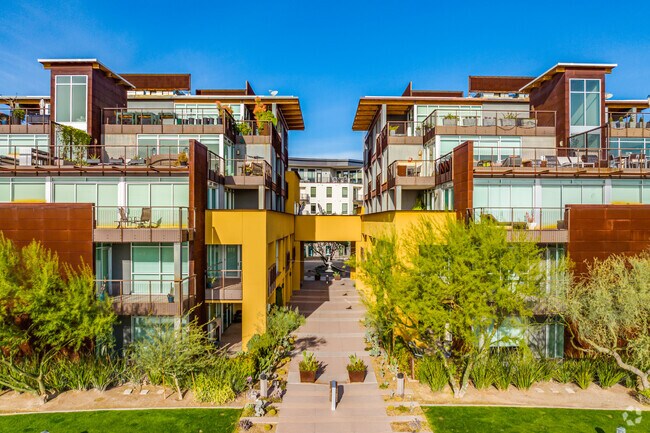 Photo - Safari Drive