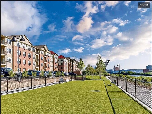looking out - 200 Balsam St Unit 201
