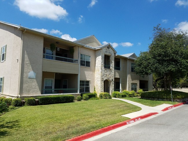 Photo - Cation on the Gaudalupe