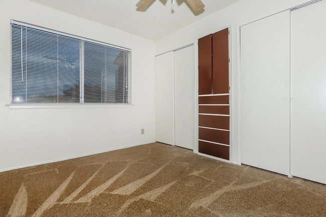 PLUSH CARPETING