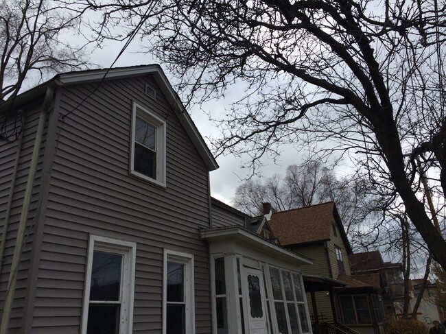 Photo - 1125 Williamson St