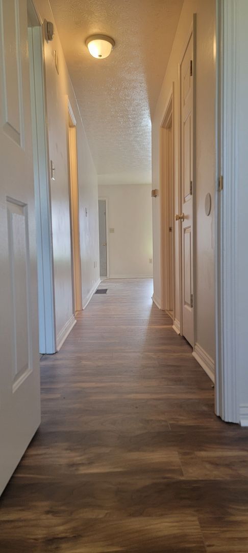 3 Bedroom, 2 Bath in Mt Sterling! - 3 Bedroom, 2 Bath in Mt Sterling! House