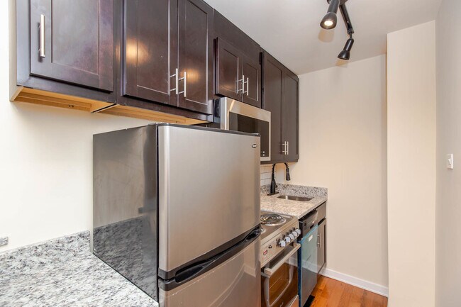 Photo - 1430 N Dearborn Pkwy Unit 313