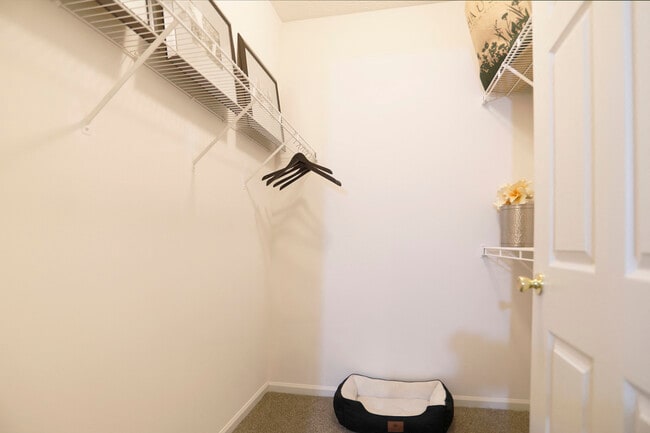 Reserve At Miller Farm - Reserve At Miller Farm Apartments