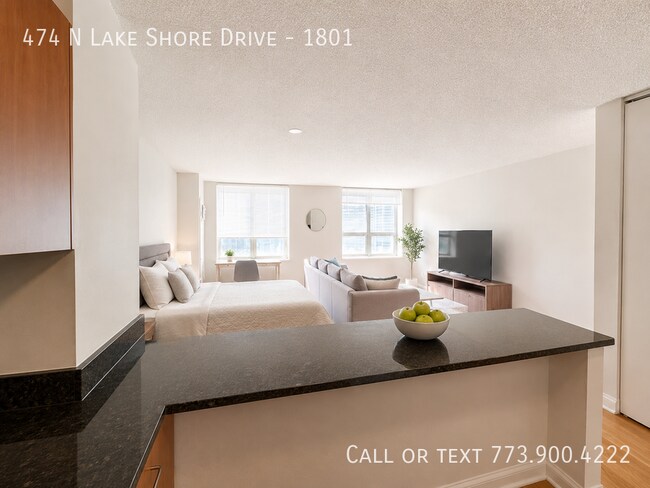 Photo - 474 N Lake Shore Dr