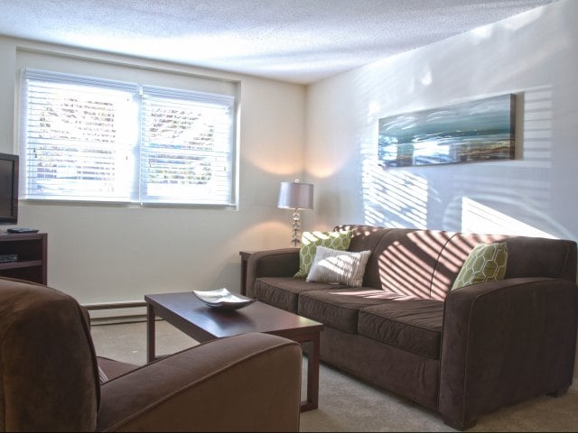 Warm Living Area with natural light