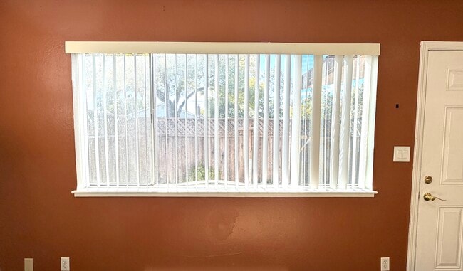 Accent wall - Living room. Lots of natural light!