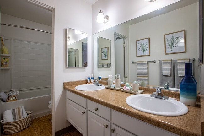 Photo - The Social Chico®