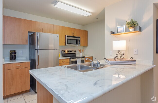 4BR, 4BA - 1364SF - Kitchen