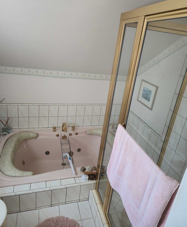 Master Addon Bath and Shower - 1151 Oakfair Ln