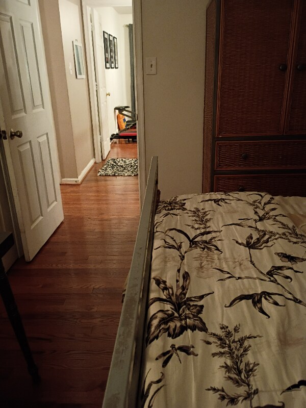 Photo - 10959 Stella Ct