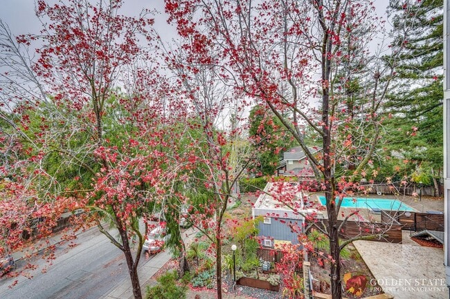 Building Photo - Beautiful Top Floor Condo in Prime Mountain View Location