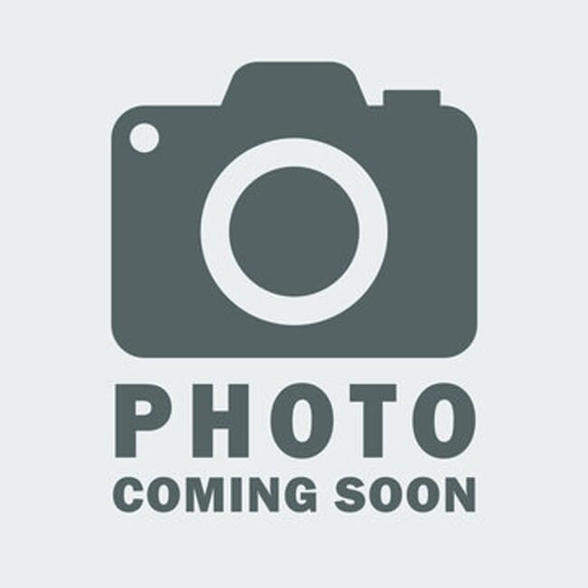 Building Photo - MORE PICTURES COMING SOON! Spacious 3 Bedr... Rental