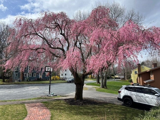 Photo - 14 Lilac Cir