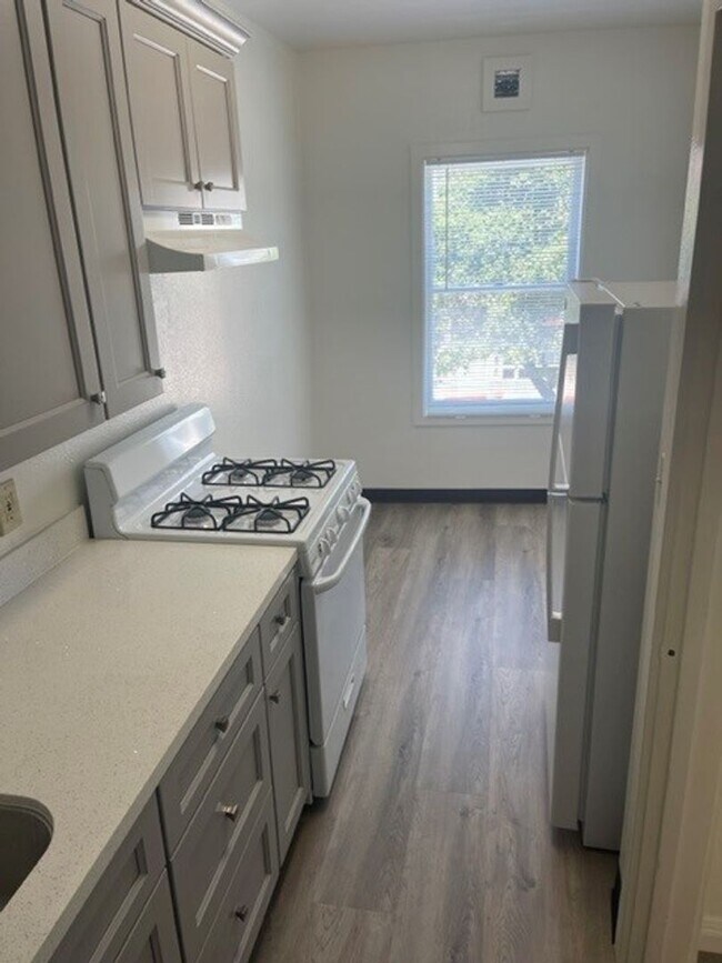 Photo - Newly upgraded Central Berkeley one-bedroo... Unit 04