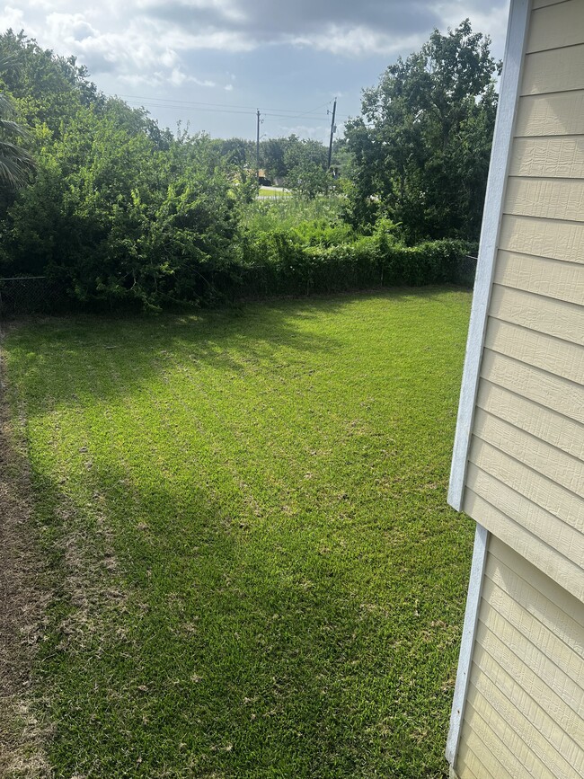 Backyard - 233 13th St