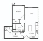 Elm