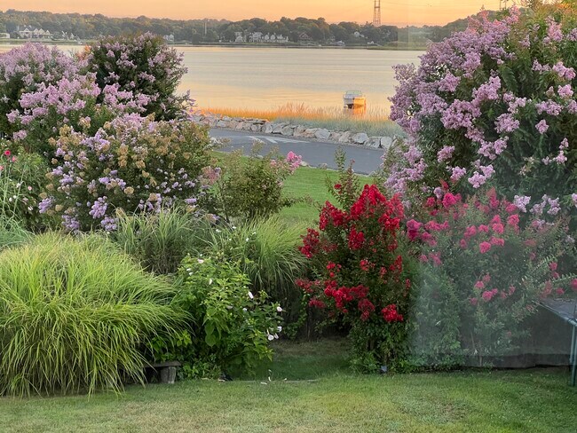 Photo - 4 Spriteview Ave